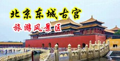 欧美射精视屏中国北京-东城古宫旅游风景区